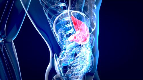 abstract-motion-design-stomach